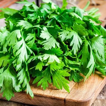 Coriander