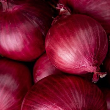 Onion